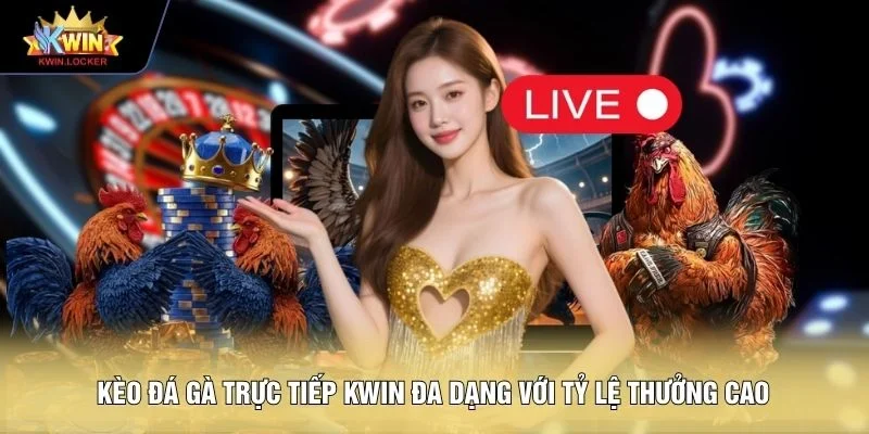 Kèo đá gà trực tiếp KWIN đa dạng với tỷ lệ thưởng cao 