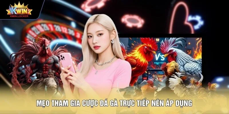 Mẹo tham gia cược đá gà trực tiếp nên áp dụng 