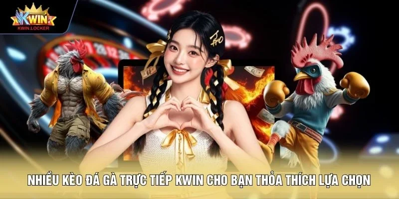 Nhiều kèo đá gà trực tiếp KWIN cho bạn thỏa thích lựa chọn 
